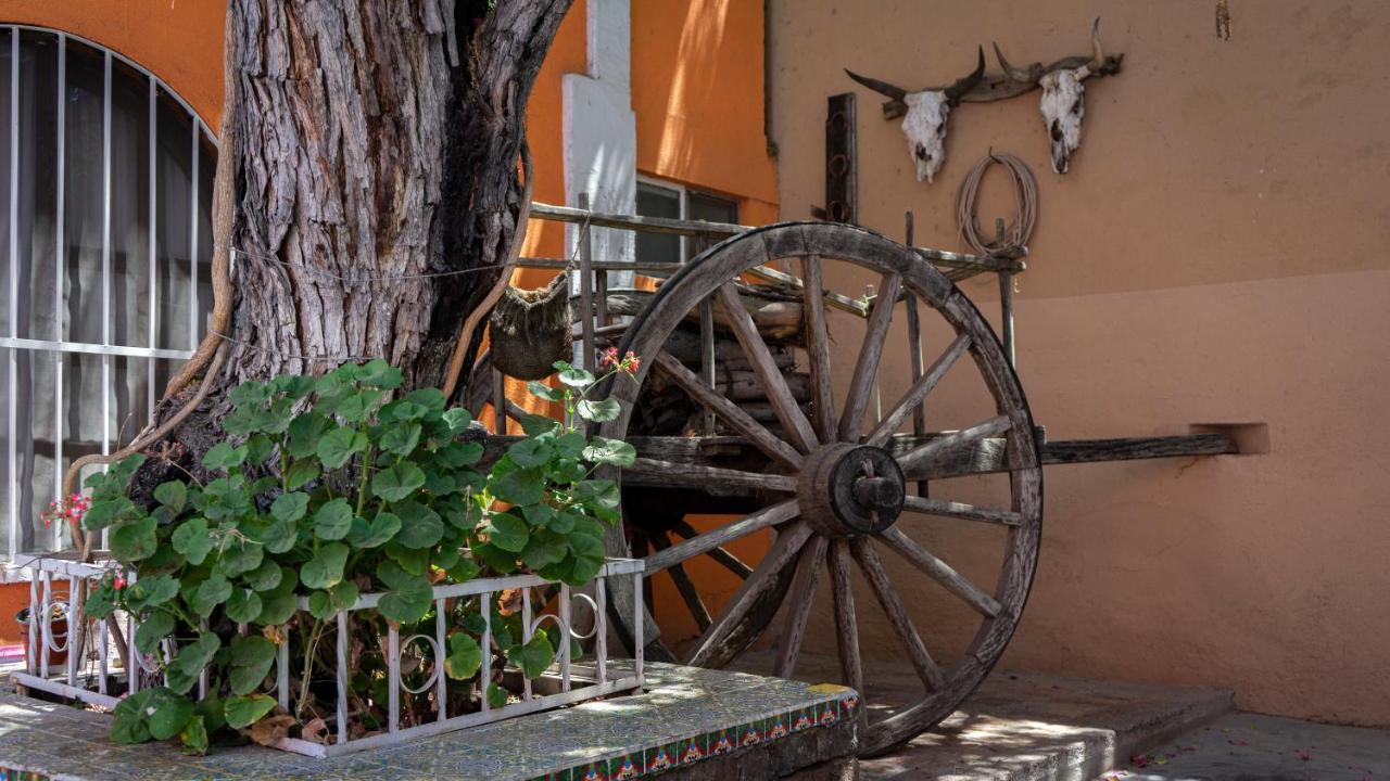 Hotel Posada Bugambilias San Luis Potosí Exteriör bild